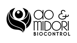ao-midori